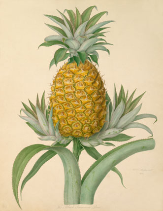 Misses M. and G. Simpson, of Otley